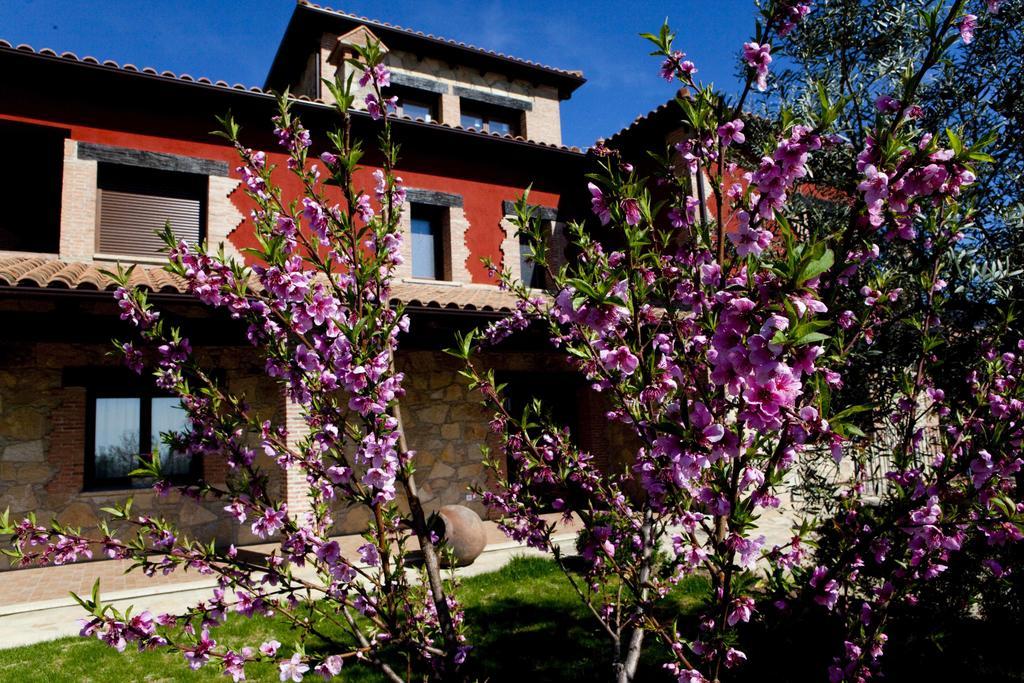 لوسار دي لافيرا Casa Rural La Canchalera المظهر الخارجي الصورة